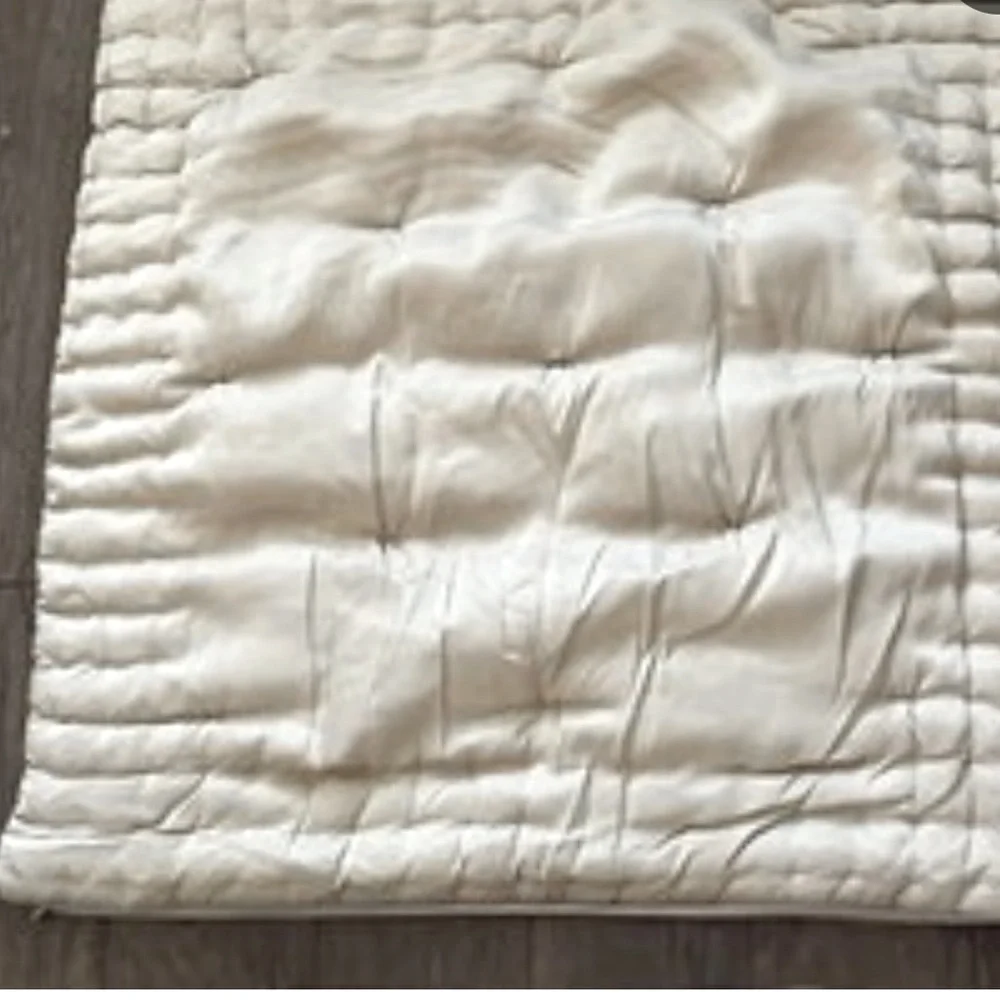 Pottery Barn | 100% Silk | Euro Size | 2/ Pillow Covers